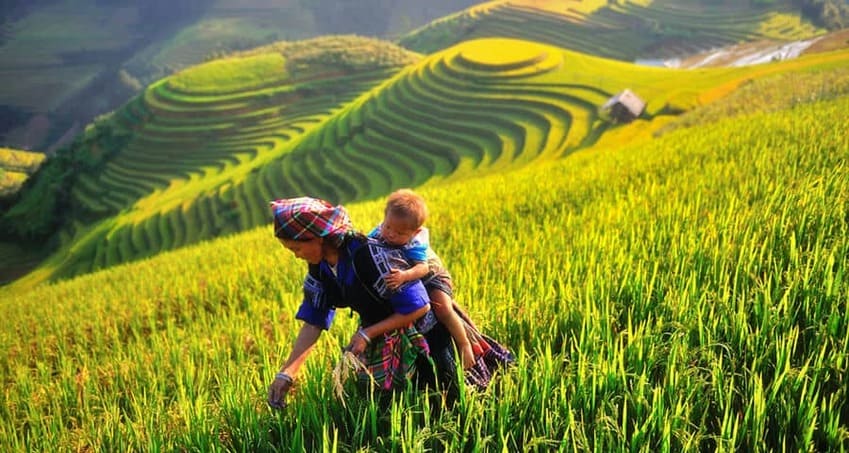 Escursione-a-Mu-Cang-Chai