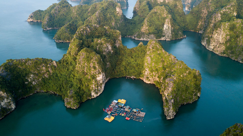 halong