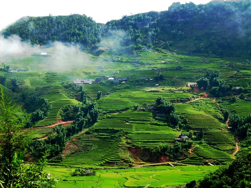 Mai-chau