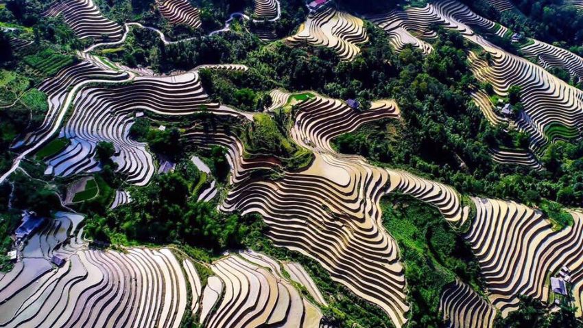 Hoang-su-phi-estate