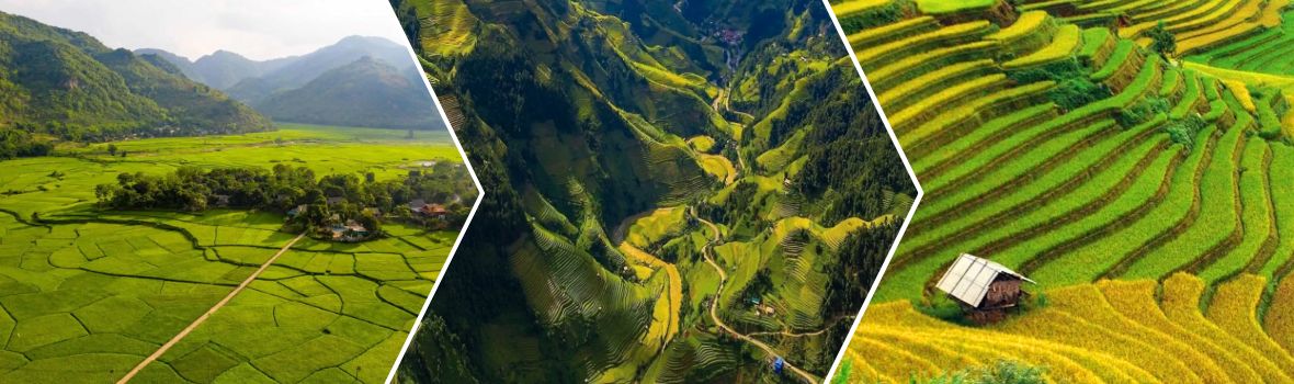 Da sinistra a destra sono Campi a Mai Chau, Passo Khau Pha, campi terrazzati a Mu Cang Chai 