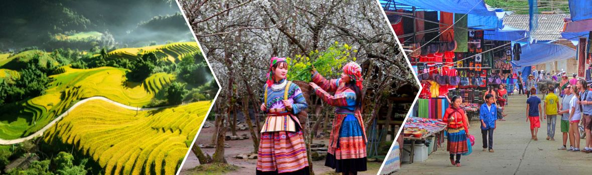 Da sinistra a destra sono Campi terrazzati a Lao Chai, Popolo Hmong a Bac Ha, mercato settimanale a Bac Ha