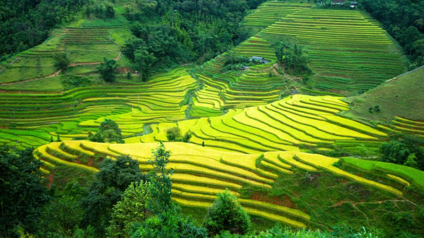 hoang-su-phi