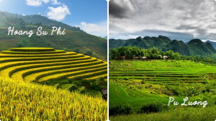 Trekking-Hoang-Su-Phi-Pu-Luong