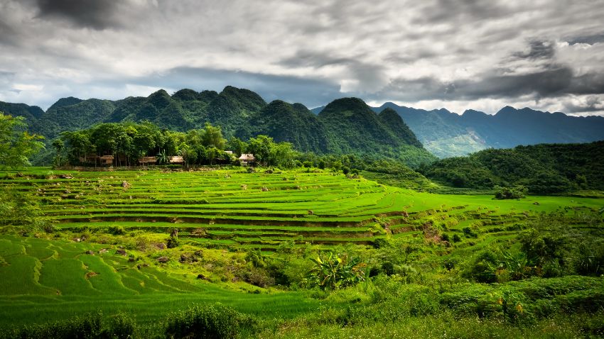 campi-terazzati-pu-luong