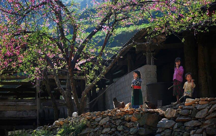 ha-giang