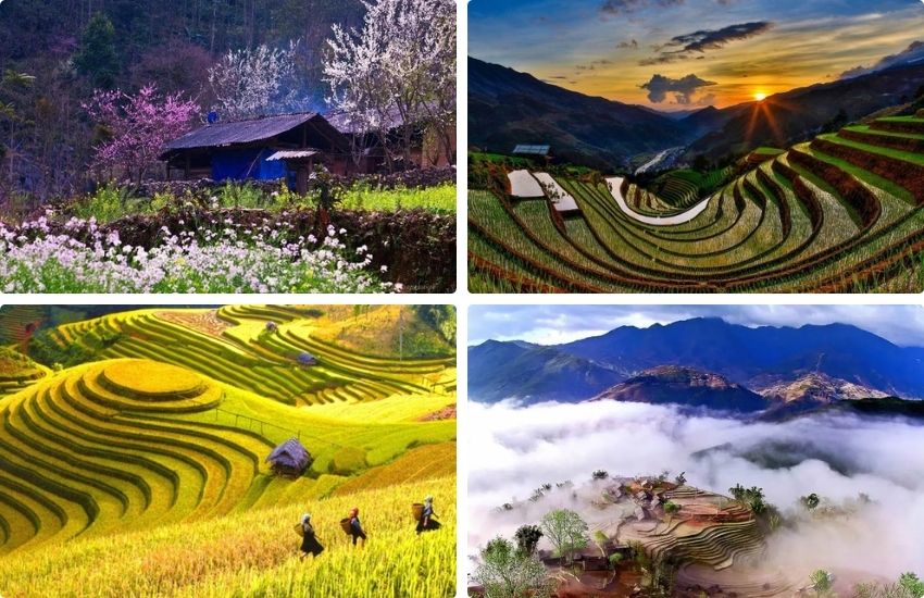 ha-giang