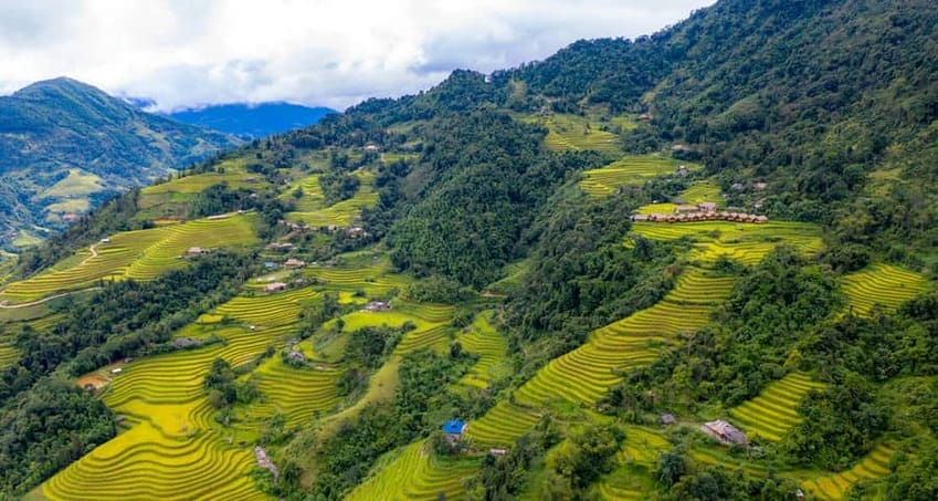 Hoang-Su-Phi