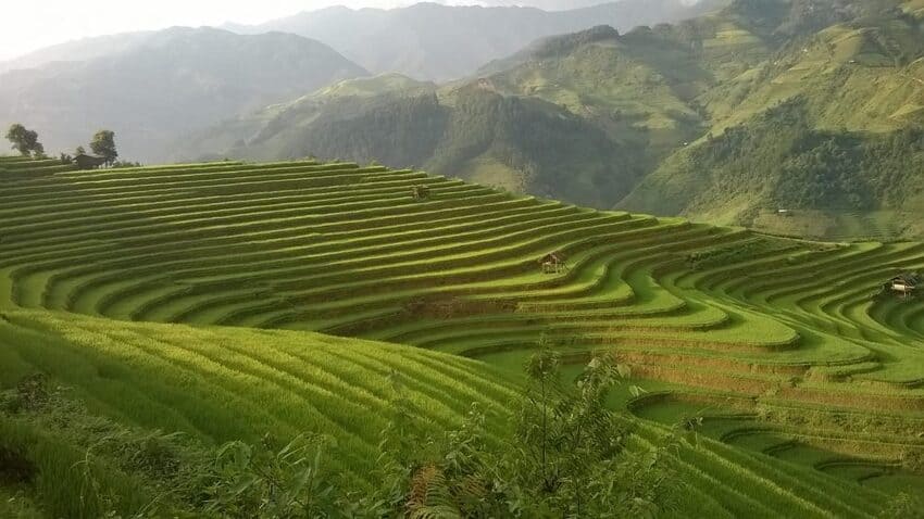 Pu-Luong