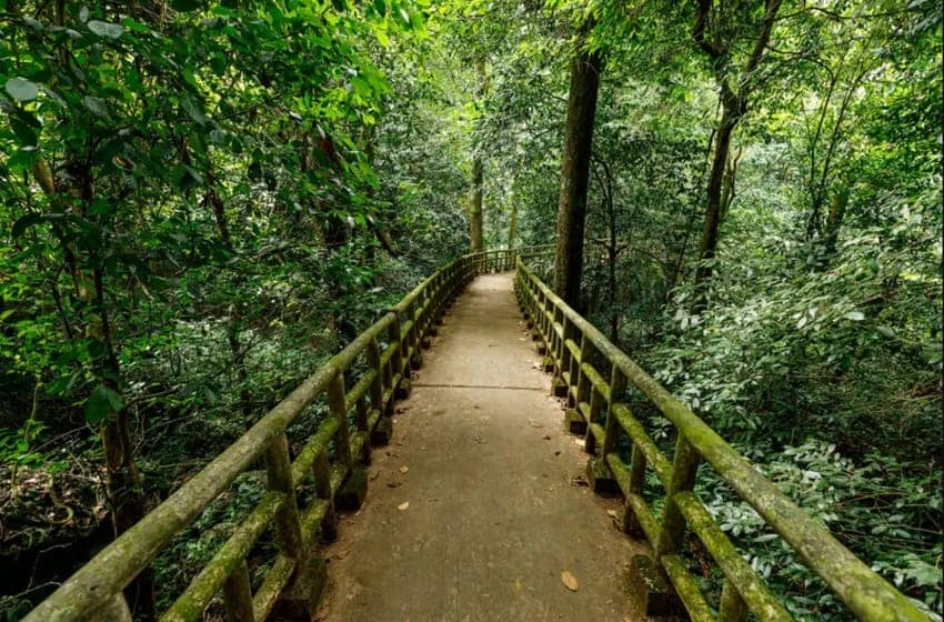 cuc-phuong-ninh-binh
