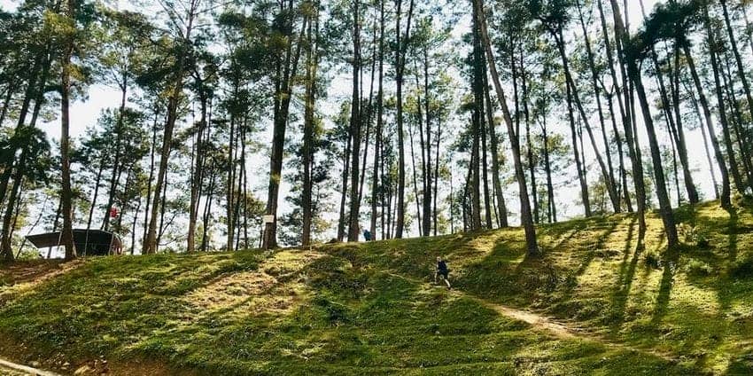 pienta-di-yen-minh