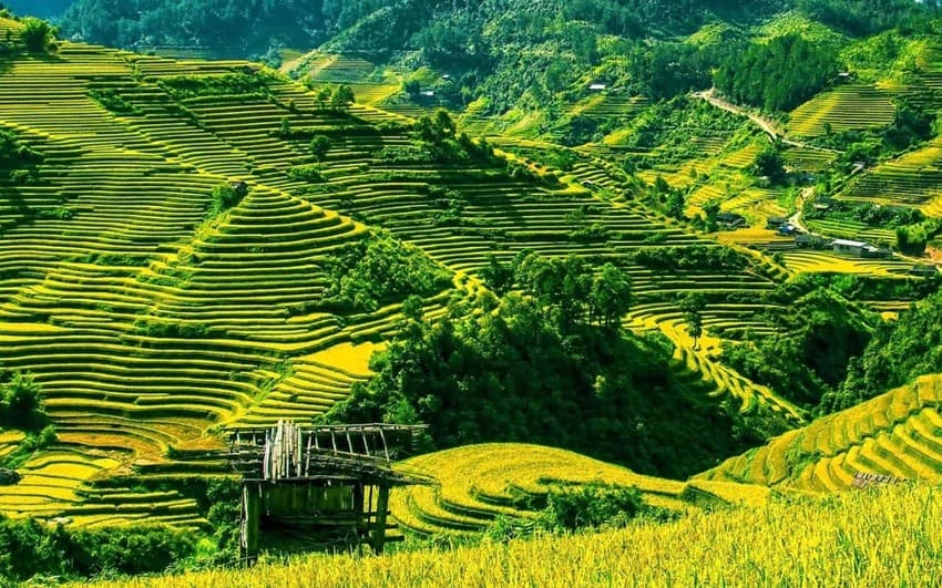 pu-luong