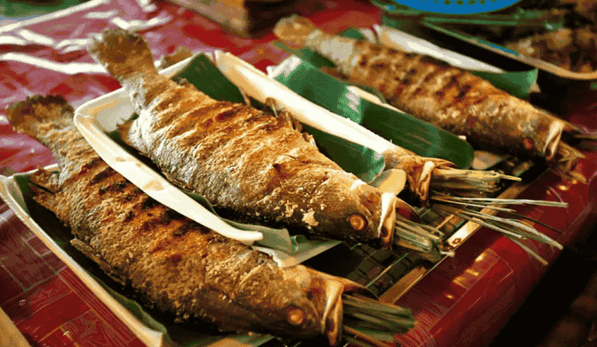 puluong-cucina